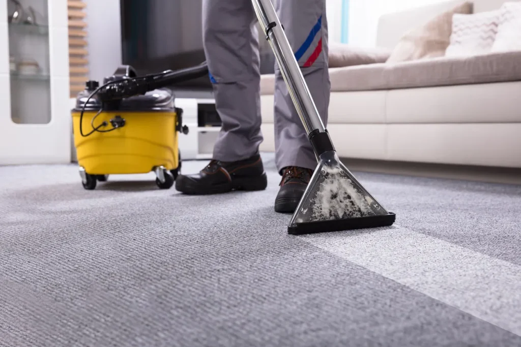 How to Eliminate Dog and Cat Hair from Your Carpets and Rugs