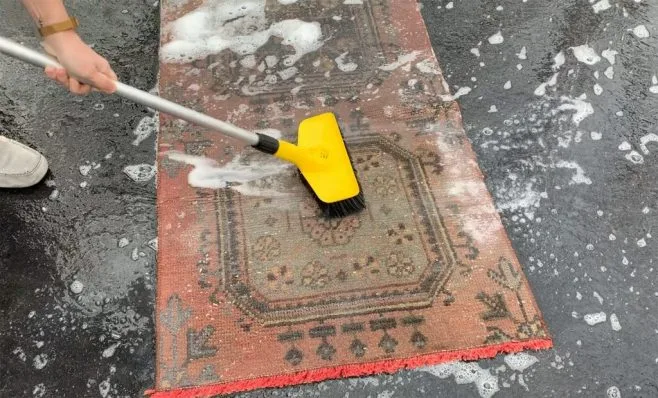 Professional Cleaning Orient Carpet Services of Rochester Hills