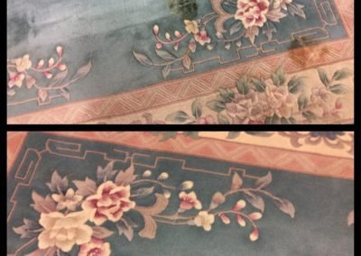 Commercial Carpet Cleaning in Southeastern Michigan