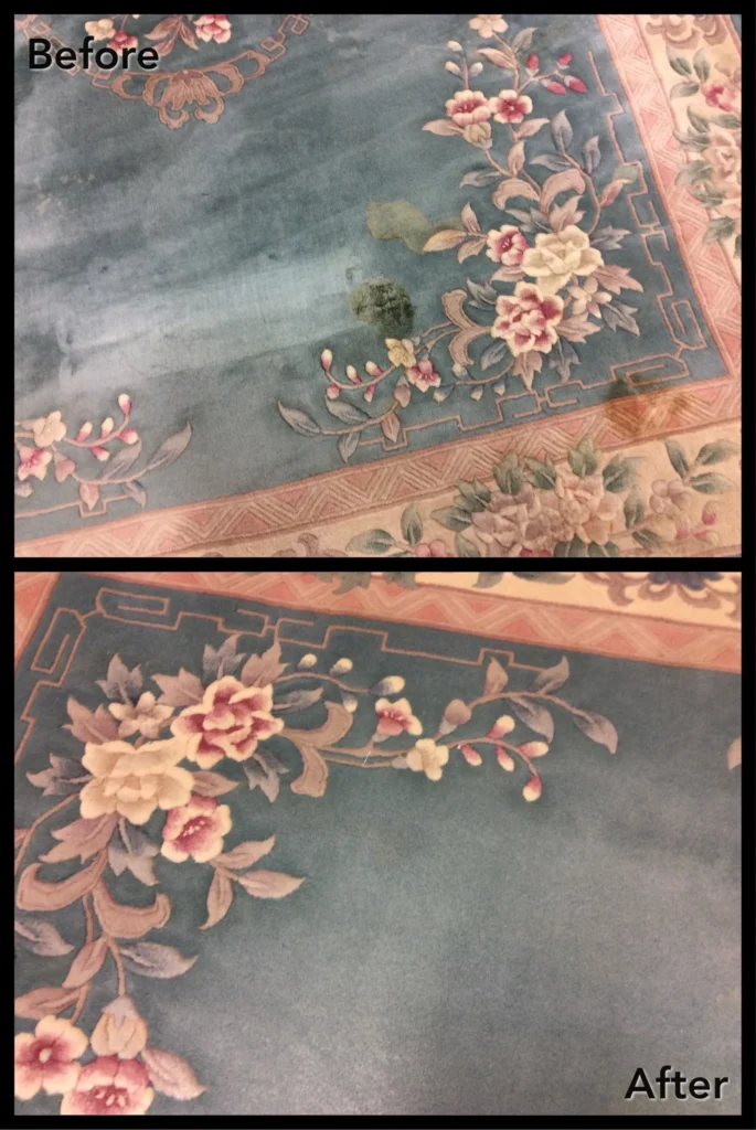 Stains Caused By Pet 1 scaled 1